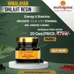 Buy Pure Original Shilajit Resin online at low price in India