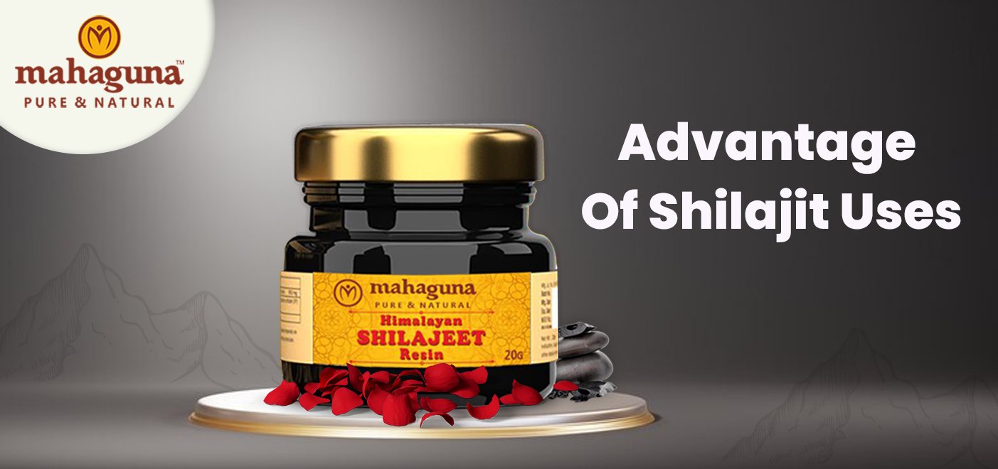 Advantage of Shilajit Uses